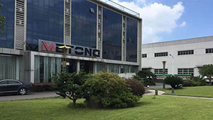 Head Office