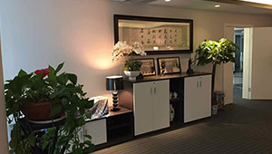International Company Office